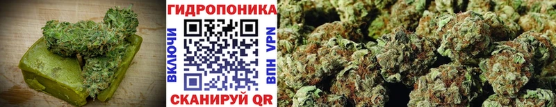 hydra tor  Уржум  Canna-Cookies марихуана 