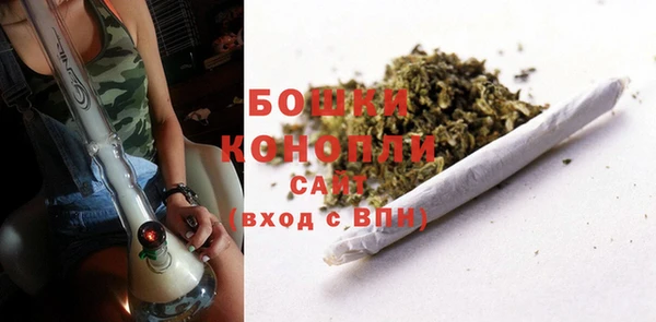 ПСИЛОЦИБИНОВЫЕ ГРИБЫ Пестово
