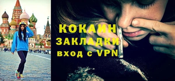 дмт Пересвет