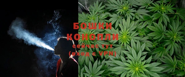 крисы Осташков