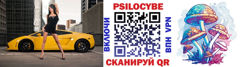 как найти закладки  Уржум  Псилоцибиновые грибы прущие грибы 
