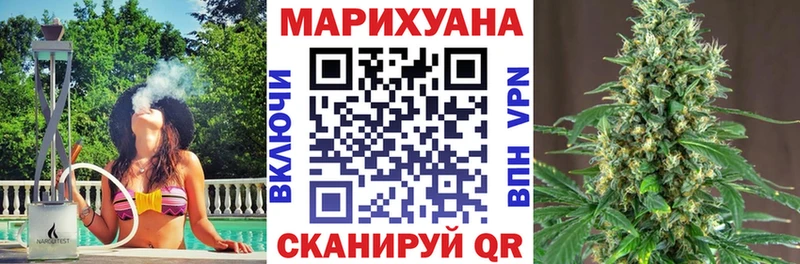 где можно купить   Уржум  Марихуана план 